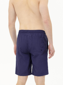 Шорты для плавания US Polo модель USPAINT.1564213.VR033 Фото