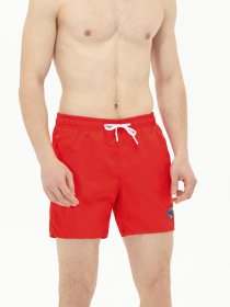 Шорти для плавання US Polo модель USPAINT.1564221.VR030 Фото