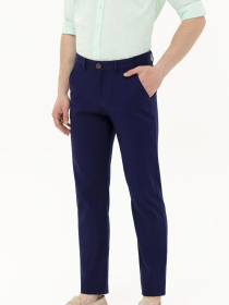 Чиносы US Polo модель USPAINT.1600081.VR033 Фото