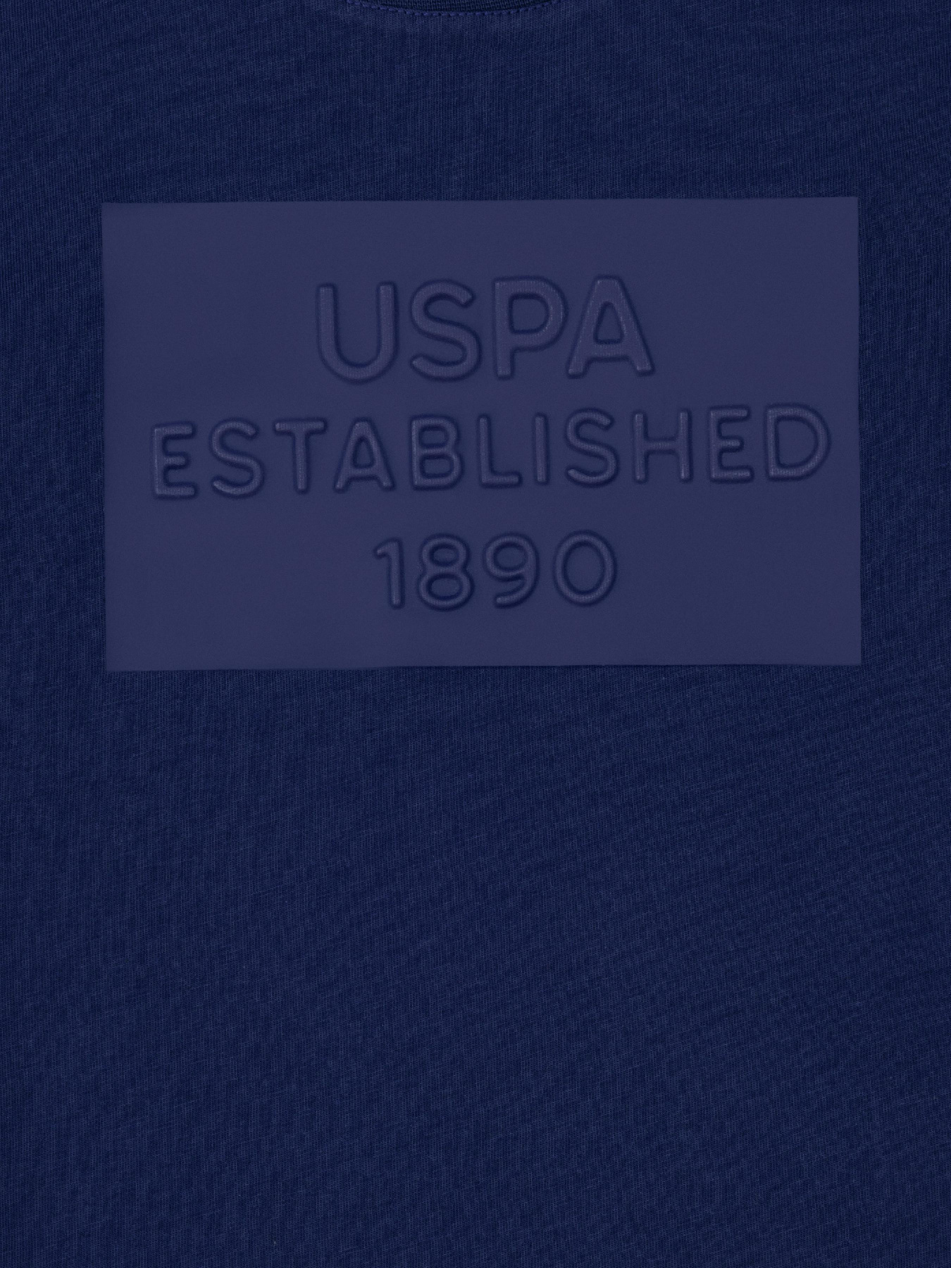 Футболка US Polo модель USPAINT.1574147.VR033 Фото