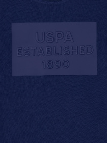 Футболка US Polo модель USPAINT.1574147.VR033 Фото