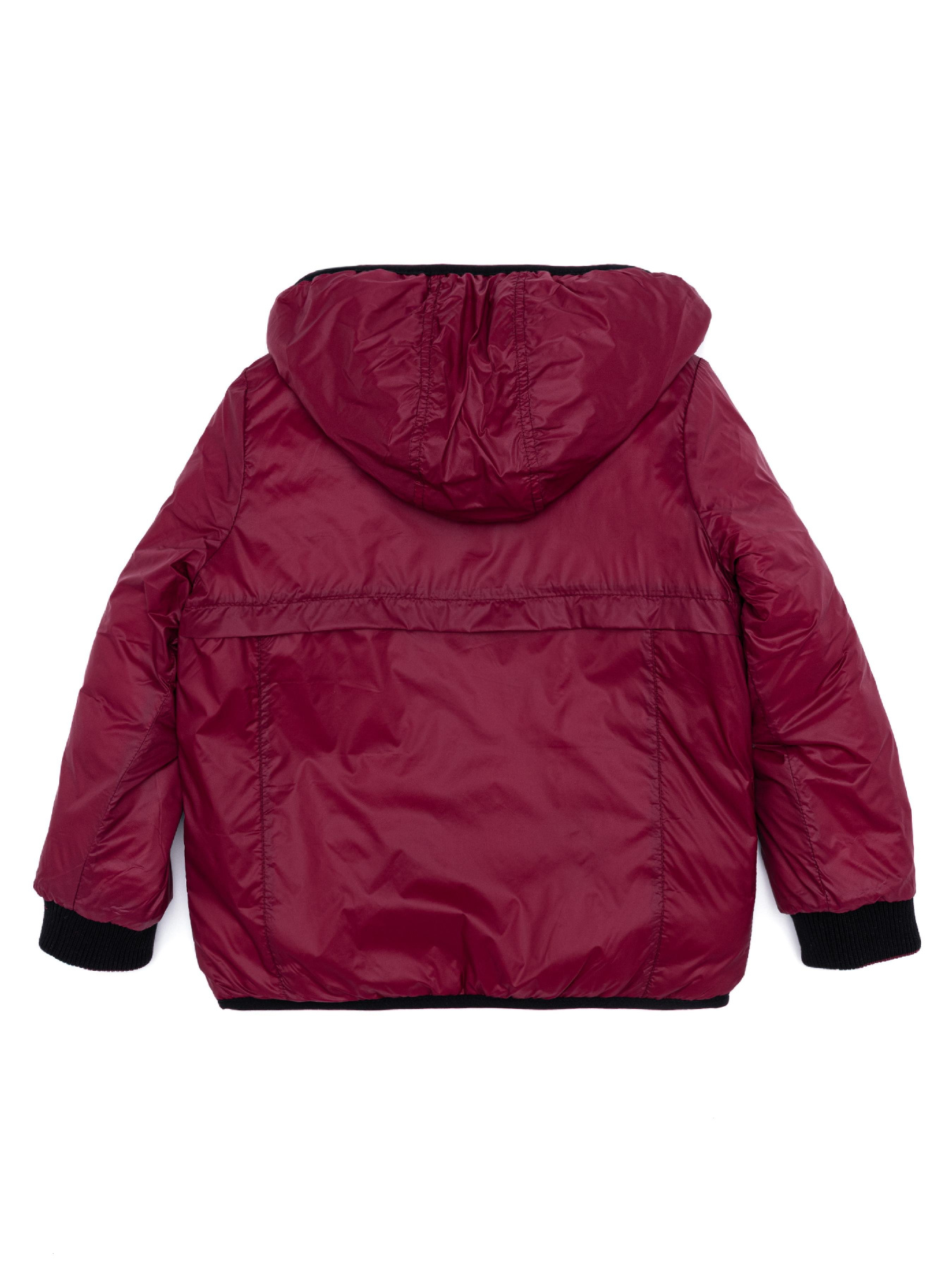 Демисезонная куртка US Polo модель G083SZ0MS.000.1460141.VR046 Фото