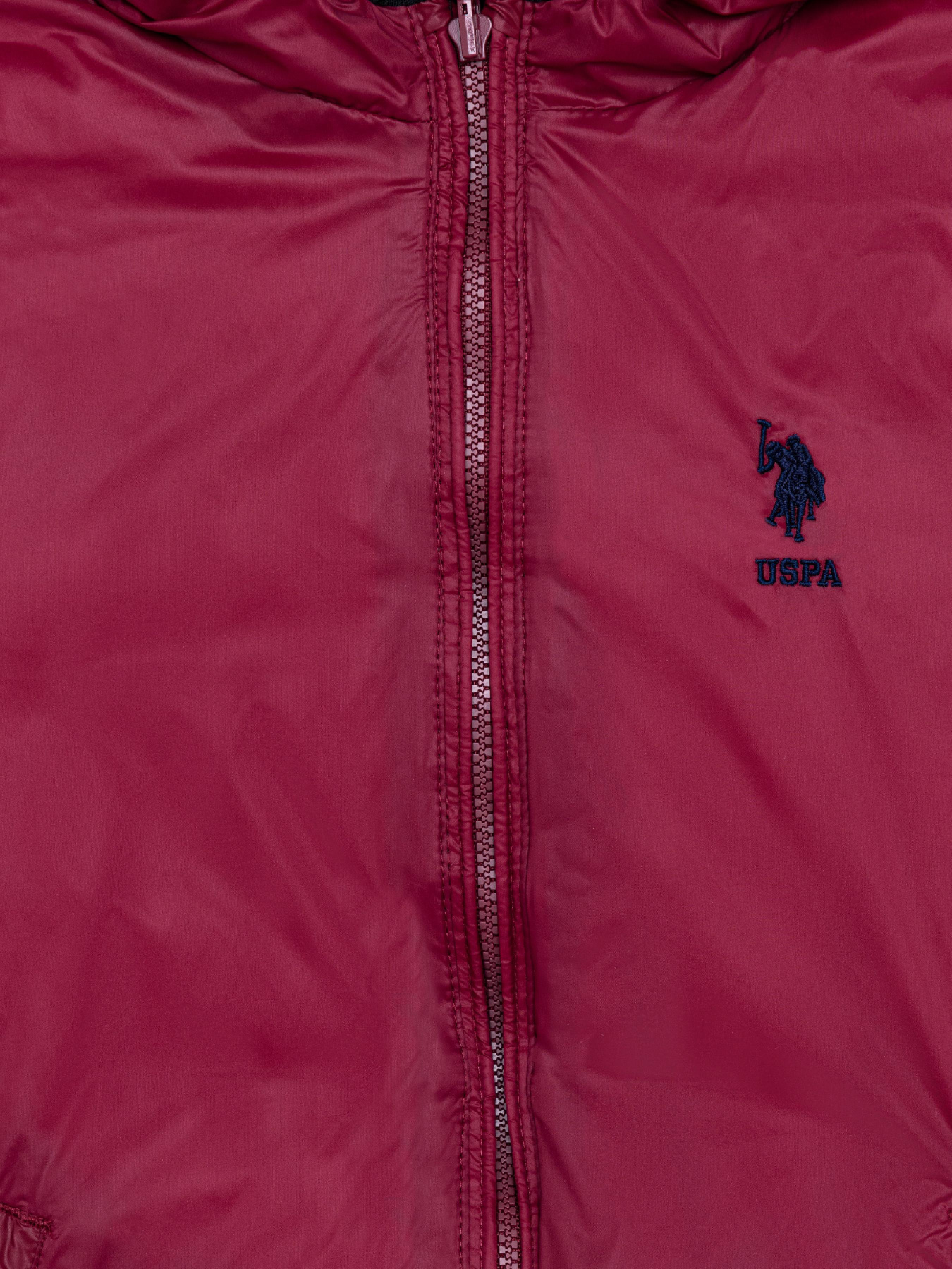 Демисезонная куртка US Polo модель G083SZ0MS.000.1460141.VR046 Фото