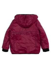 Демисезонная куртка US Polo модель G083SZ0MS.000.1460141.VR046 Фото