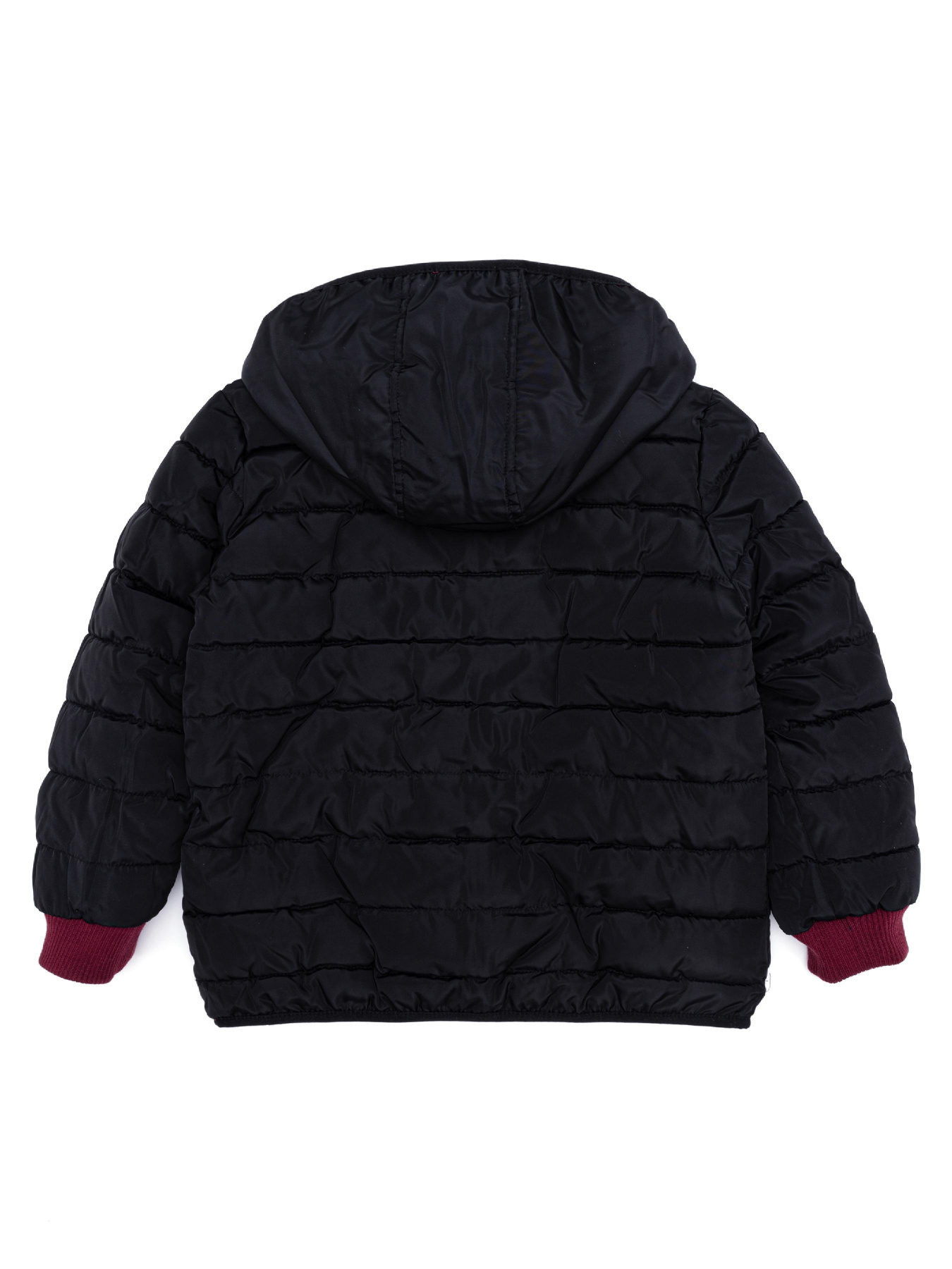 Демісезонна куртка US Polo модель G083SZ0MS.000.1460141.VR046 Фото