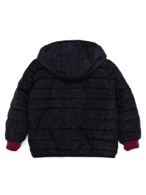 Демісезонна куртка US Polo модель G083SZ0MS.000.1460141.VR046 Фото