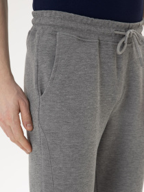 Брюки повседневные US Polo модель USPAINT.1574179.VR086 Фото