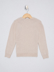 Кофта US Polo модель G084SZ0TK.000.1072772.VR071 Фото