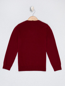 Джемпер US Polo модель G083SZ0TK.000.1078593.VR014 Фото