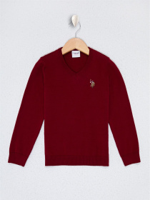 Джемпер US Polo модель G083SZ0TK.000.1078593.VR014 Фото