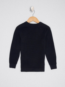 Джемпер US Polo модель G083SZ0TK.000.1091392.VR033 Фото