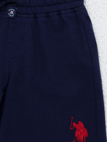 Шорты US Polo модель G083SZ0OS.000.1202362.VR033 Фото