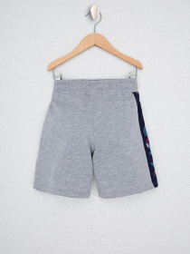 Шорти US Polo модель G083SZ0OS.000.1202362.VR086 Фото