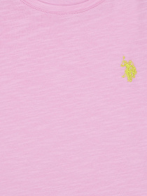 Футболка US Polo модель G084SZ011.000.1203848.VR078 Фото