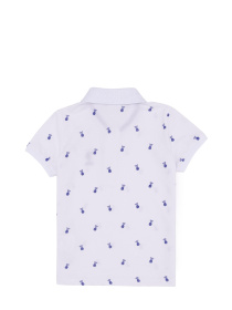 Поло US Polo модель G083SZ011.000.1364226.VR013 Поло US Polo модель G083SZ011.000.1364226.VR013 Фото