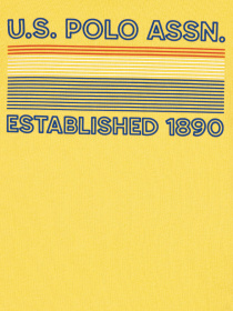 Футболка US Polo модель G083SZ011.000.1364328.VR004 Фото