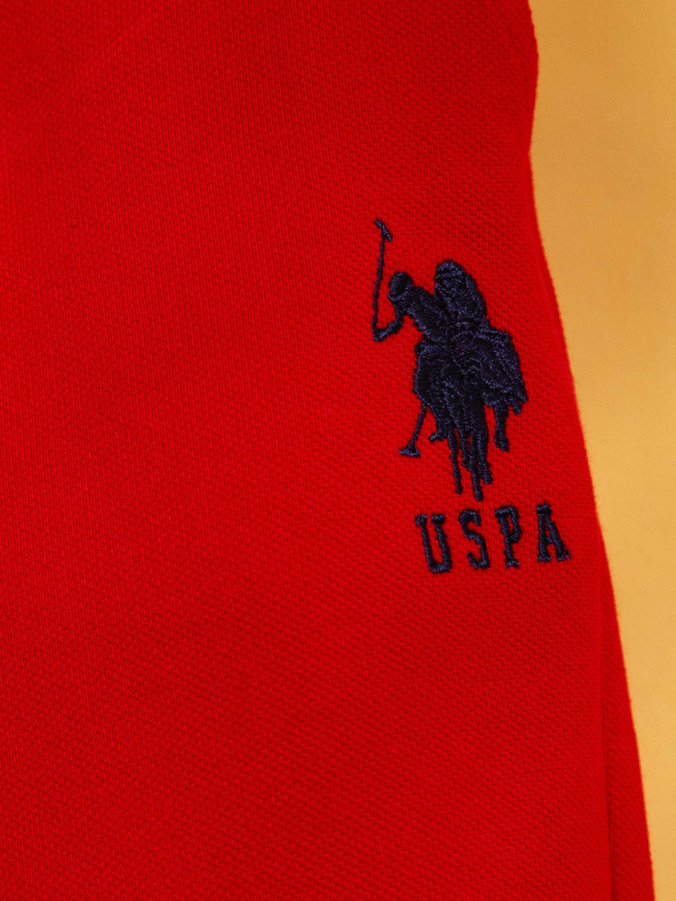 Повсякденні шорти US Polo модель G083SZ0OS.000.738888.VR171 Повсякденні шорти US Polo модель G083SZ0OS.000.738888.VR171 Фото