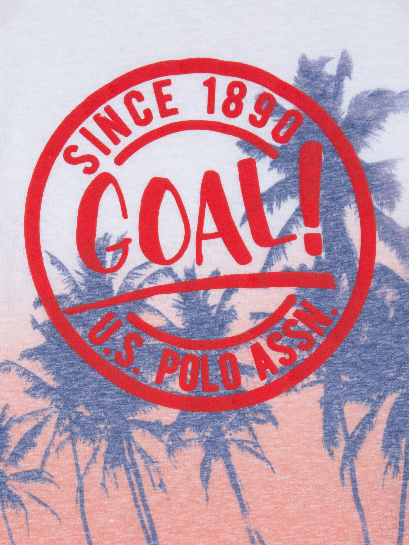 Футболка US Polo модель G083SZ011.000.961075.VR039 Фото