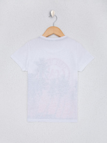 Футболка US Polo модель G083SZ011.000.961075.VR039 Фото