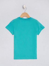 Футболка US Polo модель G083SZ011.000.961086.VR090 Фото