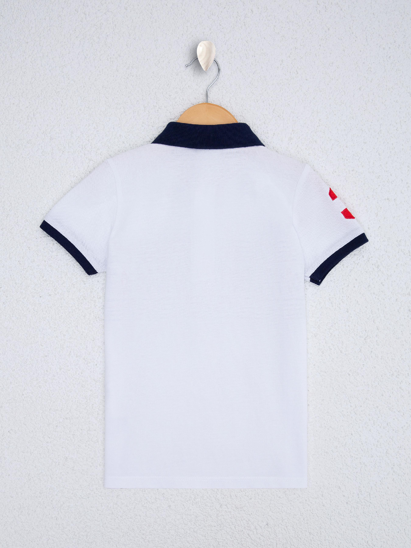 Поло US Polo модель G083SZ011.000.961561.VR013 Фото