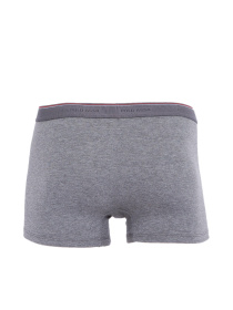 Набор трусов US Polo модель I081SZ0IA.000.80093_.850 Фото