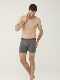 Набор трусов US Polo модель USPA.80454.VR033 Фото