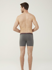 Набір трусів US Polo модель USPA.80454.VR033 Фото