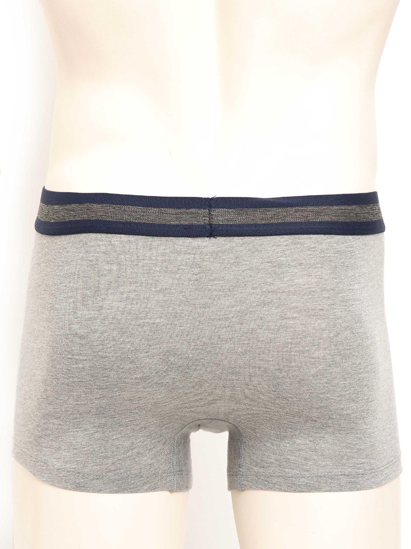 Набір трусів US Polo модель US.01.80155.VR033 Фото