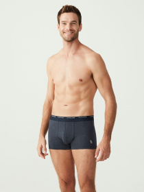 Трусы US Polo модель US.01.80338.VR120 Трусы US Polo модель US.01.80338.VR120 Фото