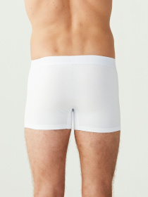 Набор трусов US Polo модель US.01.80173.VR013 Фото