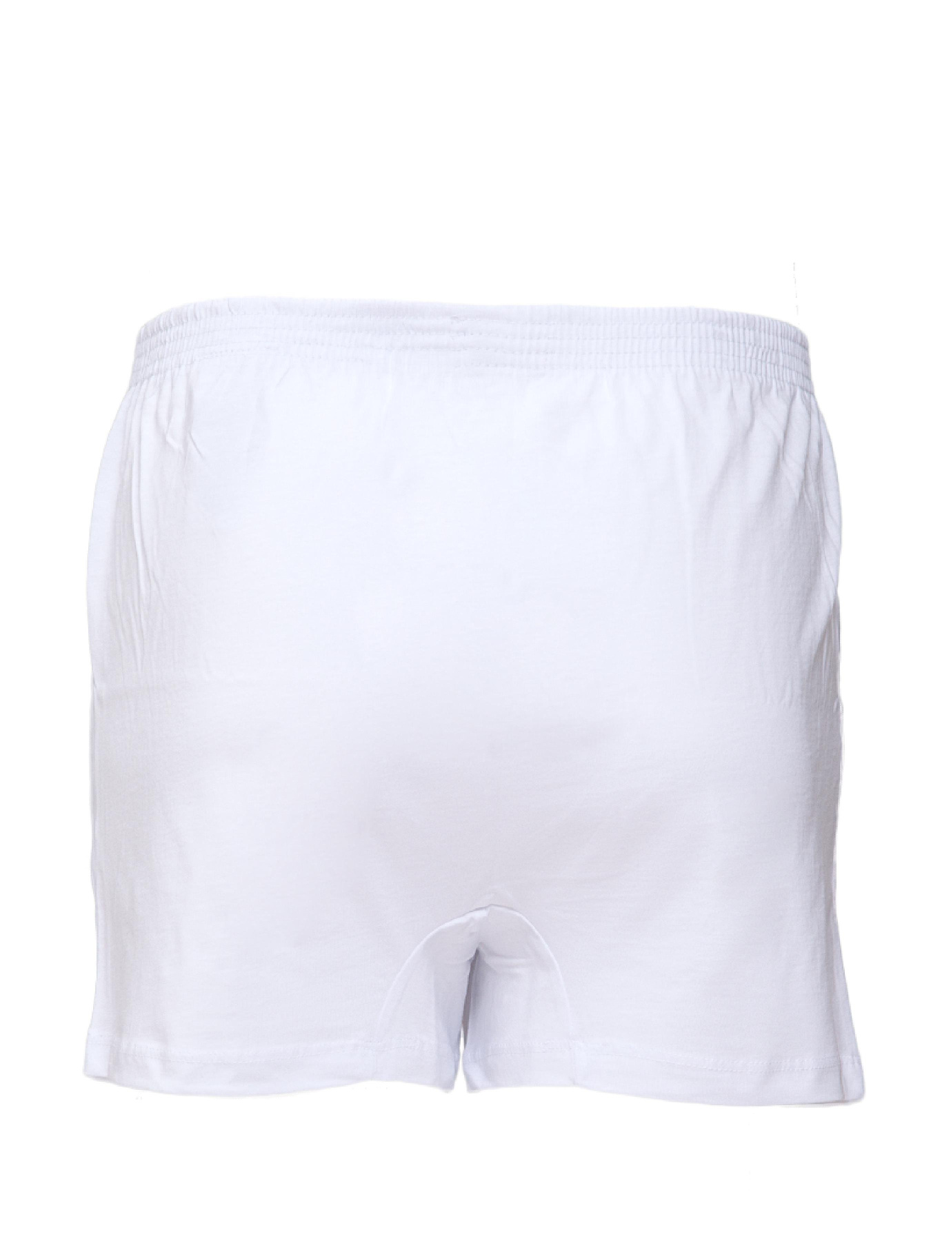 Набір трусів US Polo модель US.E1.80054.VR013 Фото