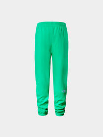 Брюки The North Face модель NF0A7ZJBPO81 Фото