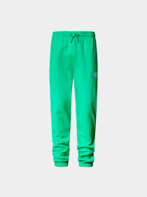 Брюки The North Face модель NF0A7ZJBPO81 Фото