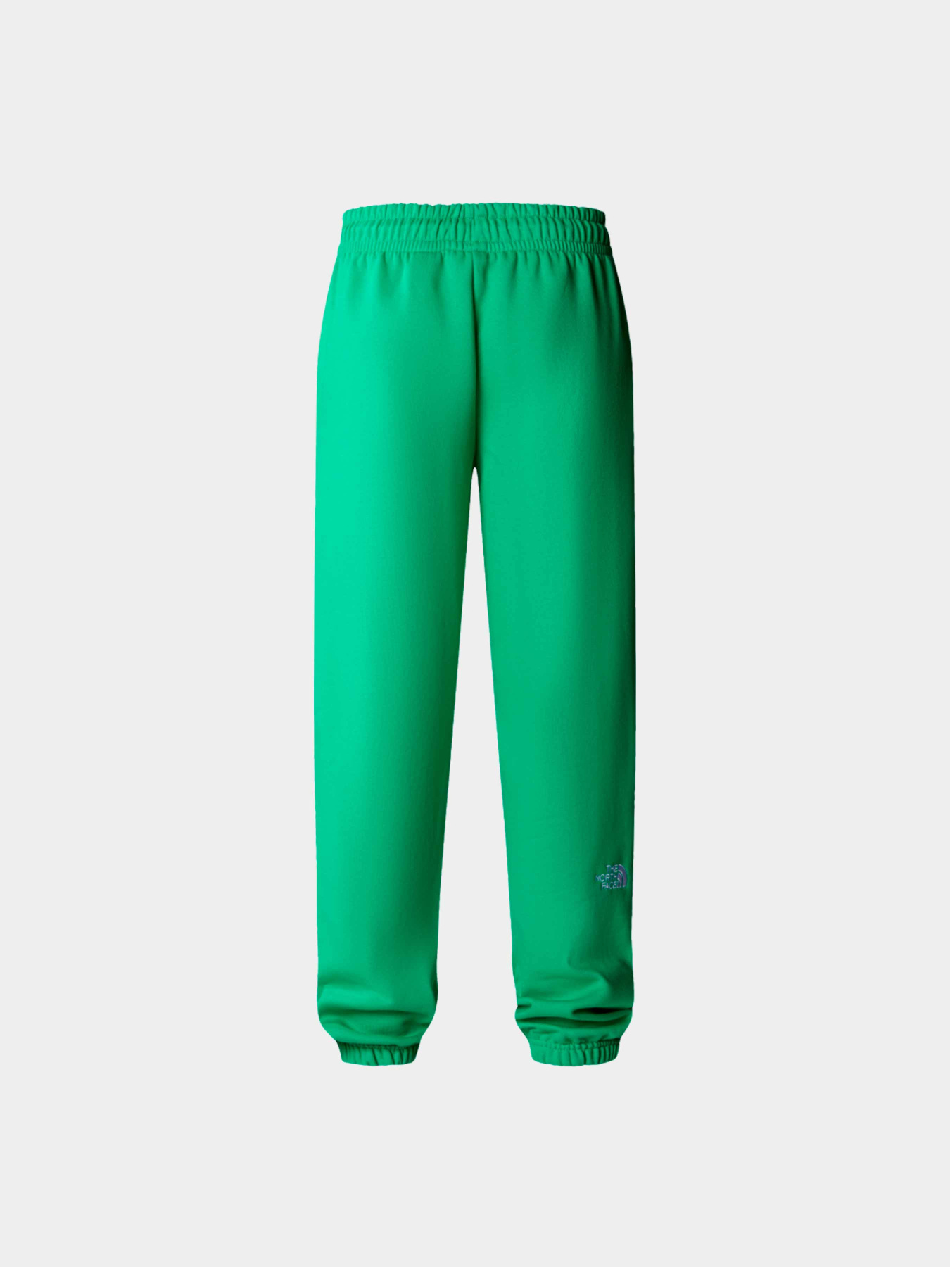 Брюки The North Face модель NF0A7ZJFPO81 Фото