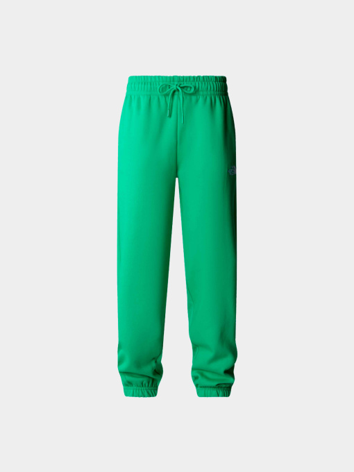 Брюки The North Face модель NF0A7ZJFPO81 Фото