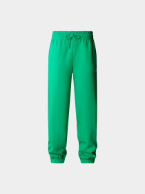 Брюки The North Face модель NF0A7ZJFPO81 Фото