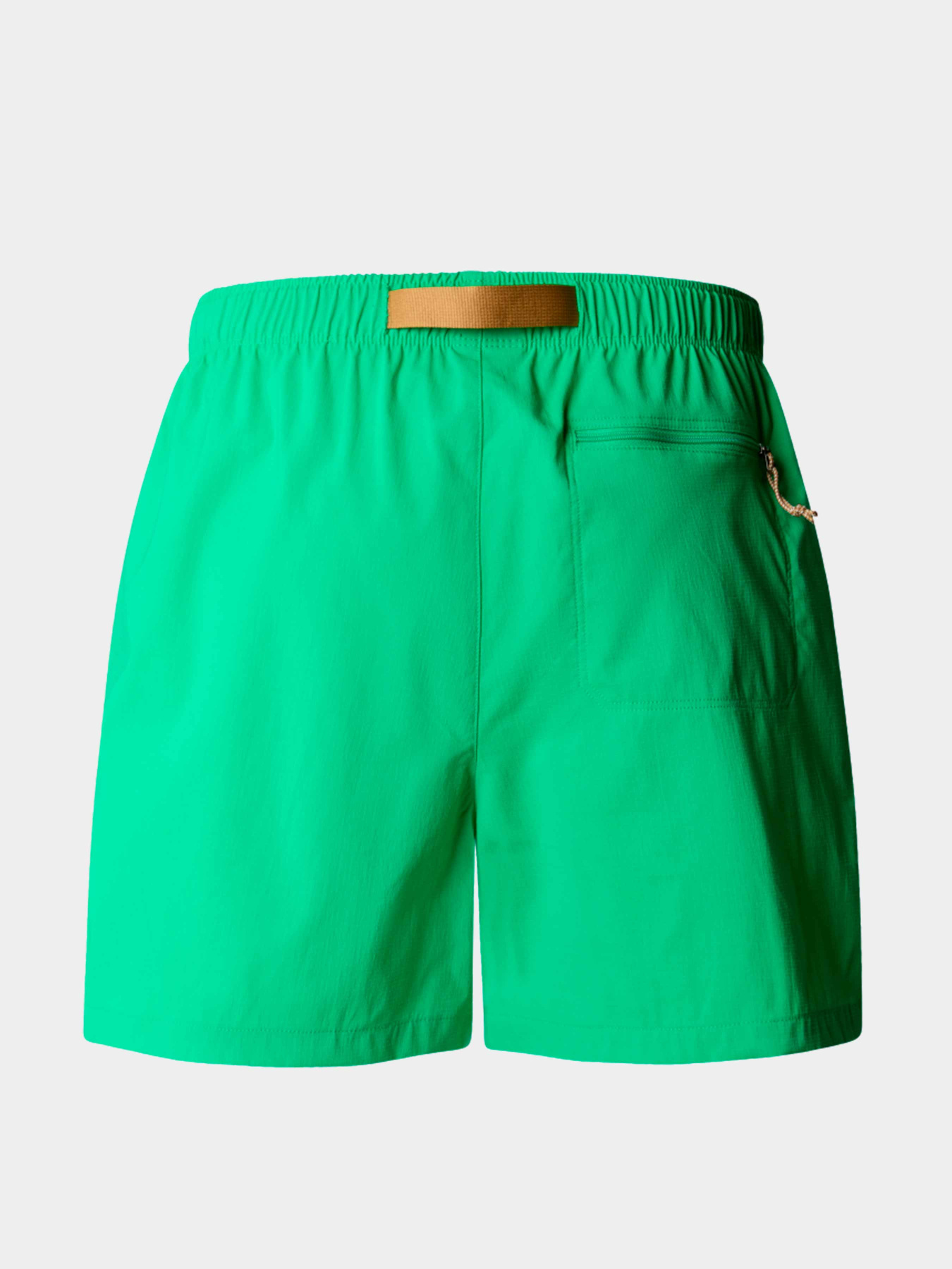 Шорты The North Face модель NF0A81VWPO81 Фото