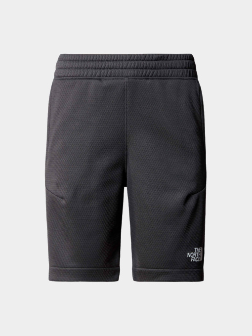 Шорты The North Face модель NF0A87B7MN81 Фото
