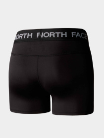 Шорты The North Face модель NF0A87JZJK31 Фото