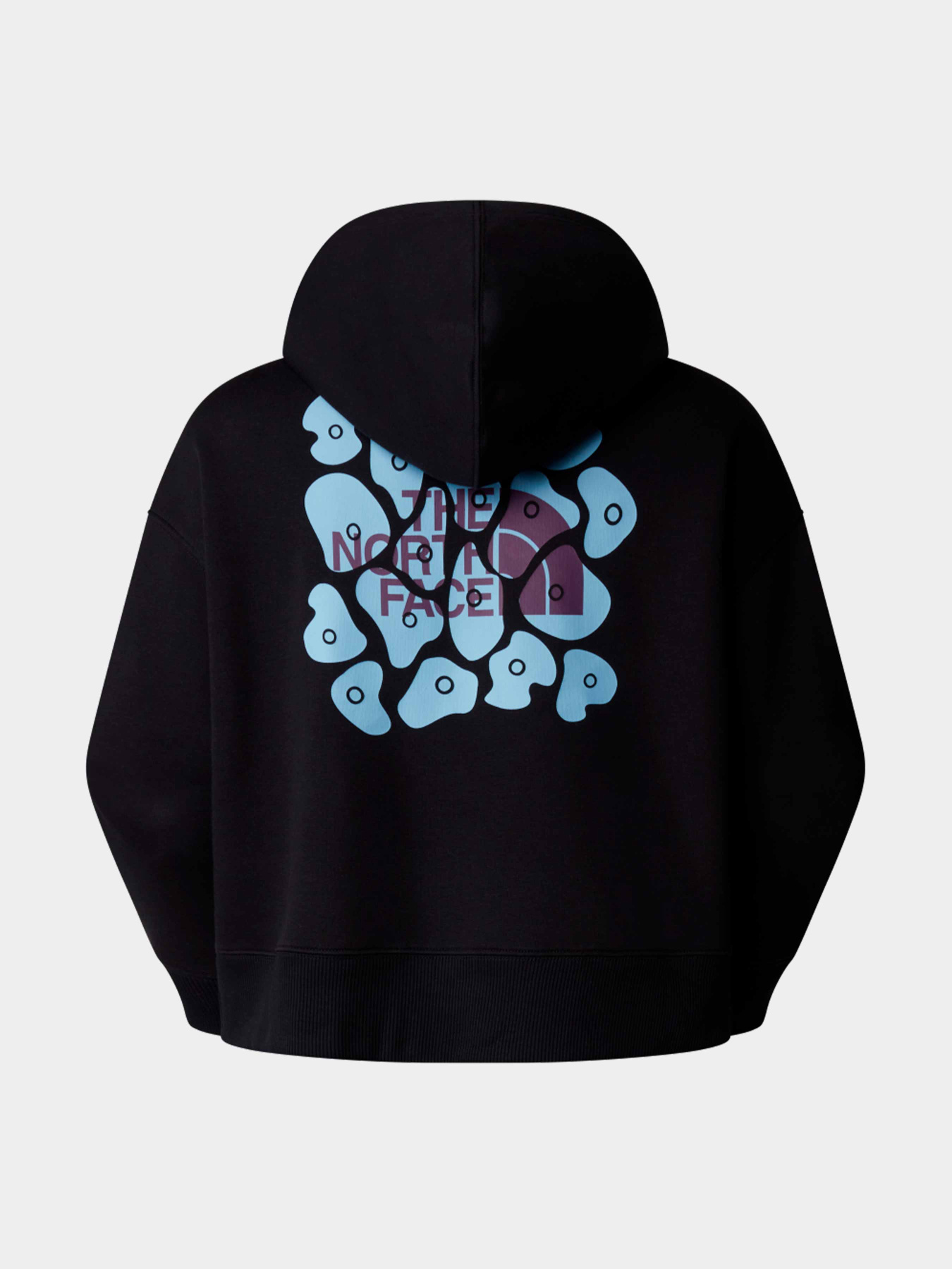 Худи и свитшоты The North Face модель NF0A87FKJK31 Фото