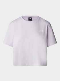 Футболки и поло The North Face модель NF0A87U4PMI1 Фото