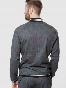 Кофта спортивная Arber модель AN17.03.10 Фото