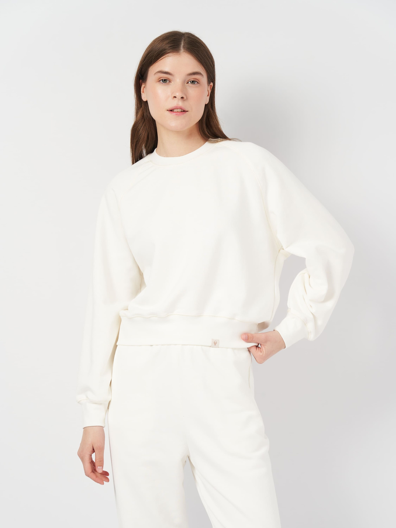 Свитшот Роза модель 231111_milk Фото