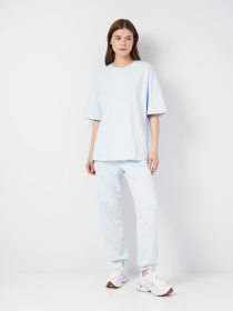 Джоггеры Роза модель 231025_blue Фото