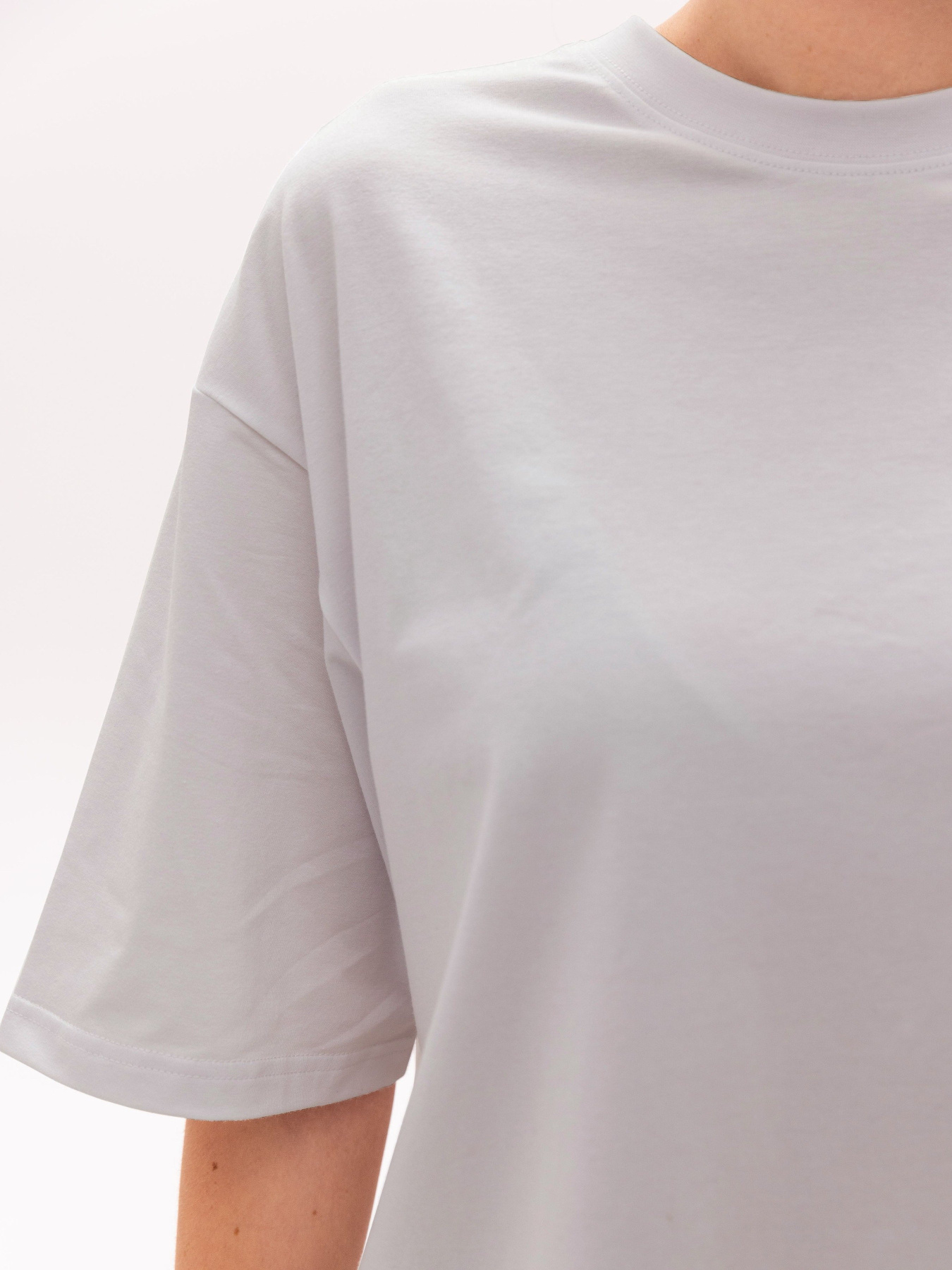 Футболка Роза модель 231105_light_gray Фото