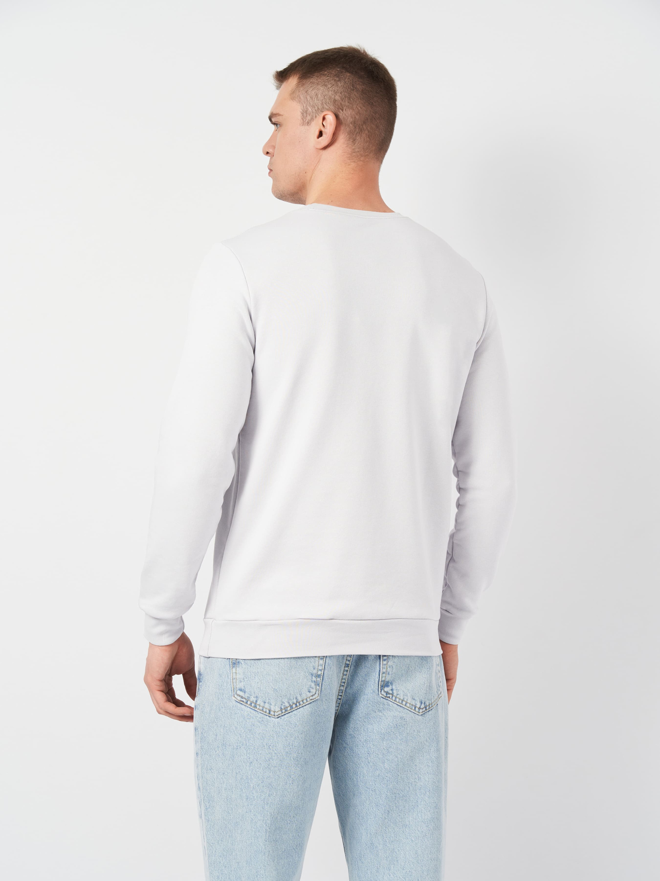 Свитшот Роза модель 210542_light_gray Фото