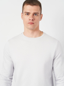 Свитшот Роза модель 210542_light_gray Фото