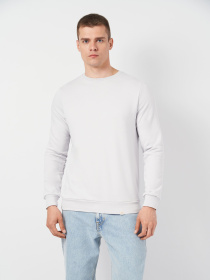 Свитшот Роза модель 210542_light_gray Фото