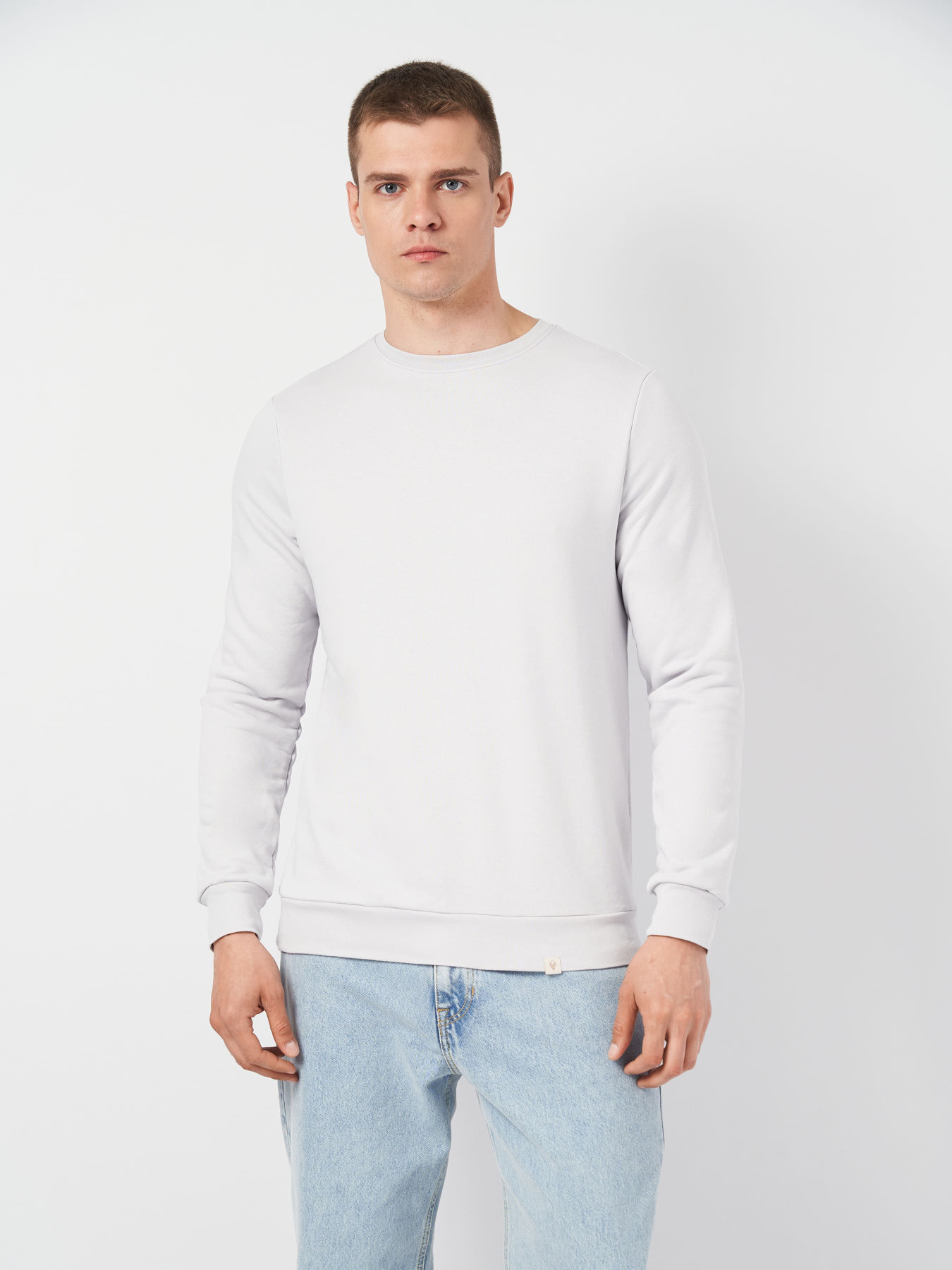 Світшот Роза модель 210542_light_gray Фото